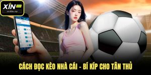 Cách đọc kèo nhà cái