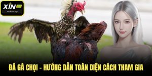 Đá gà chọi