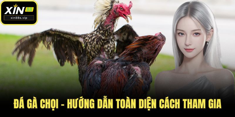 Đá gà chọi