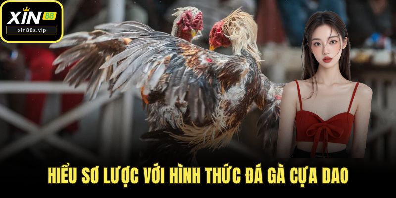 Hiểu sơ lược với hình thức đá gà cựa dao