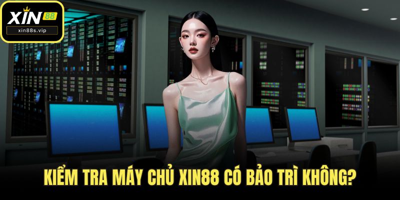 Kiểm tra máy chủ XIN88 có bảo trì không?